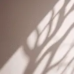 La Badin-Radio